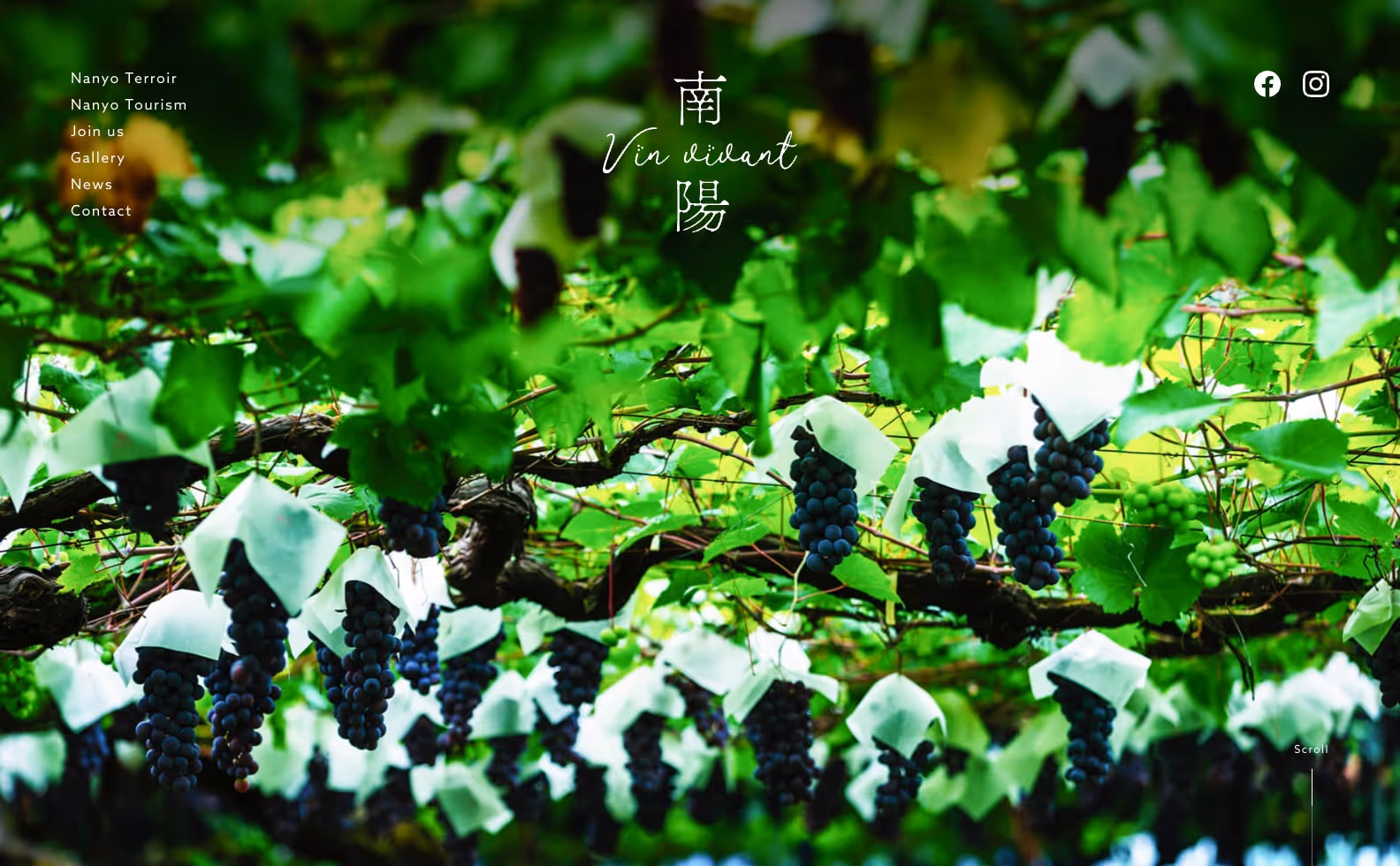 南陽Vin vivant プロダクトサイトの画像