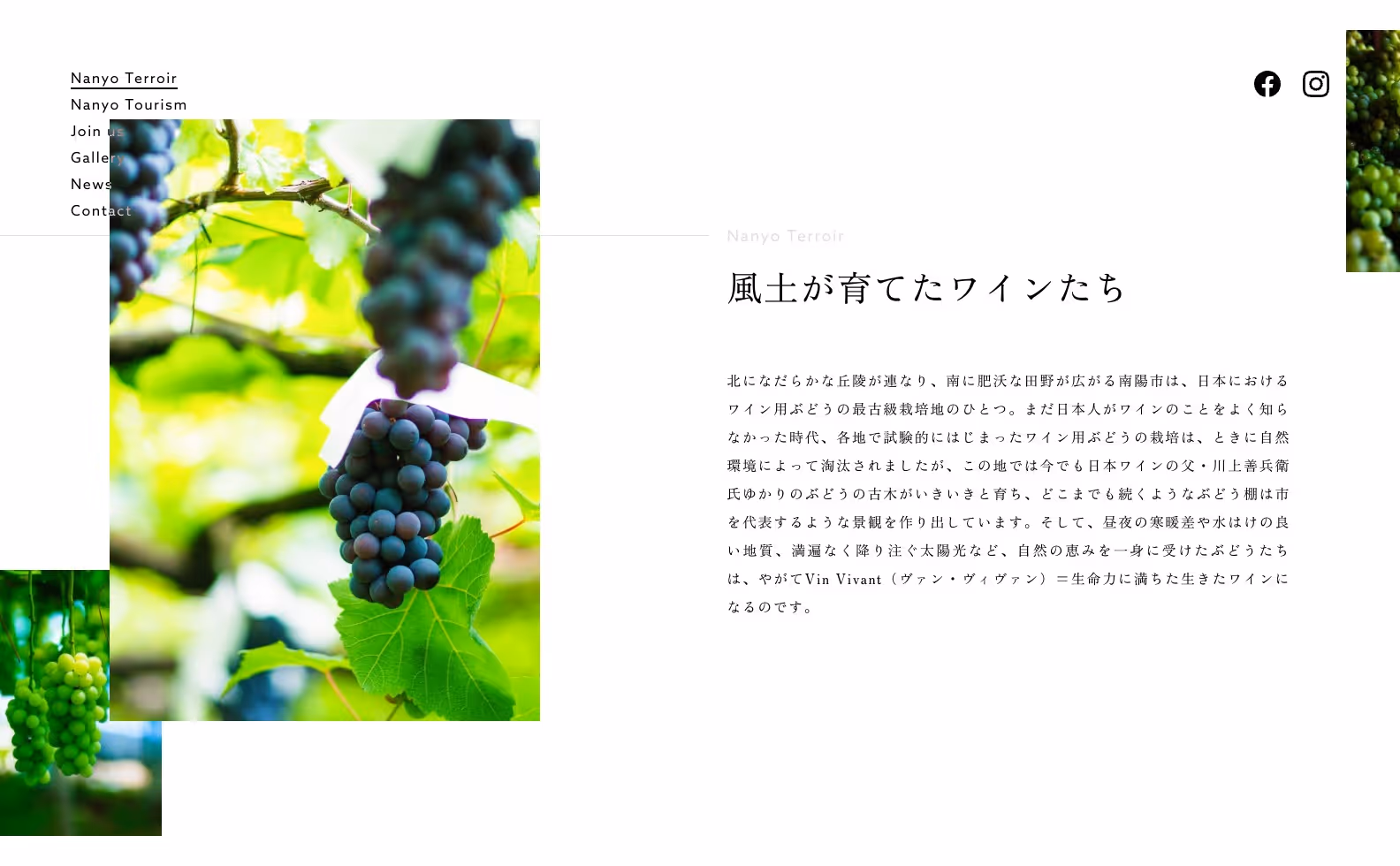 南陽Vin vivant プロダクトサイトの画像