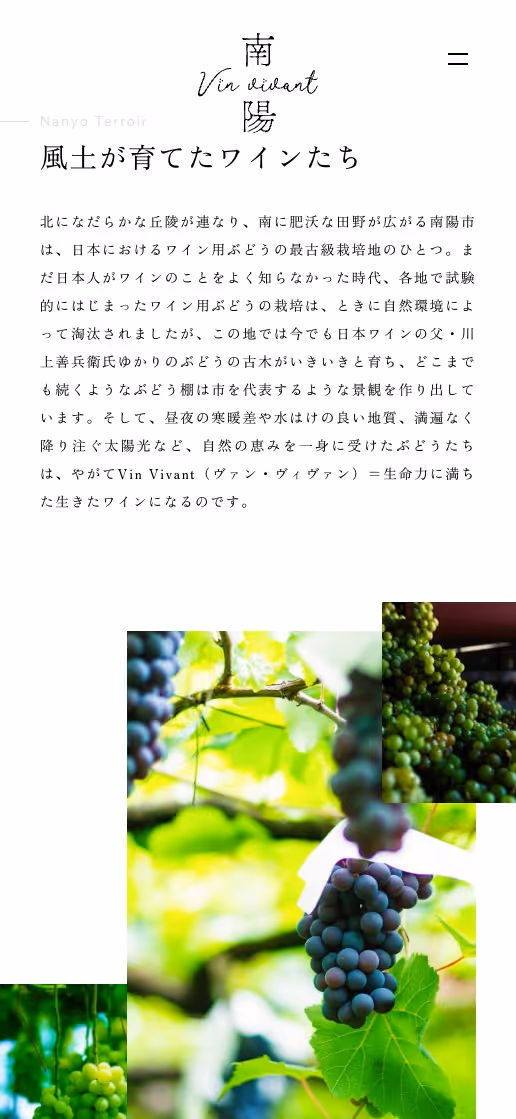 南陽Vin vivant プロダクトサイトの画像